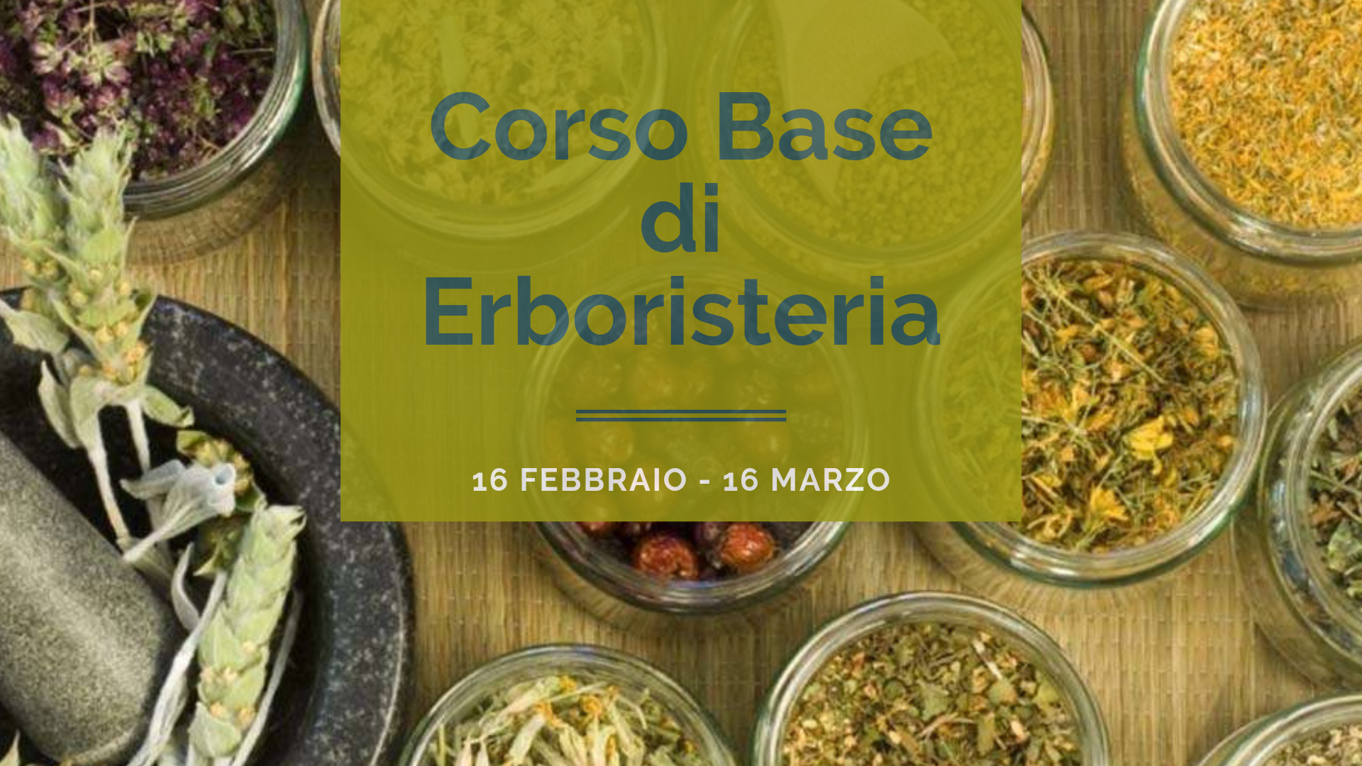 corso-erboristeria-locorotondo