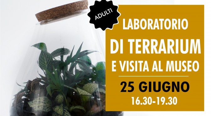 3.terrarium_25giugno 2023_2